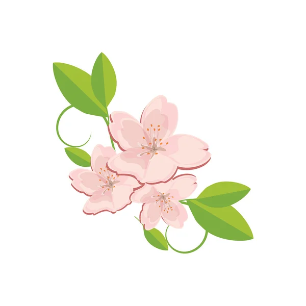 Sakura virág, levél — Stock Vector