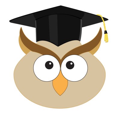 Baykuş mezuniyet şapkalı