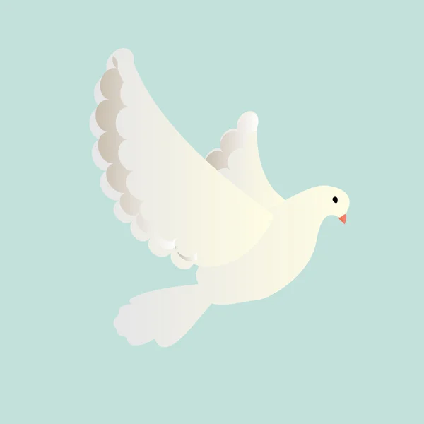 Beyaz Güvercin raster — Stok fotoğraf