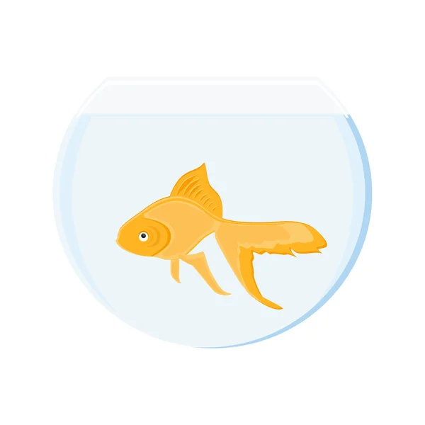 Goldfish in bowl — Stock Vector