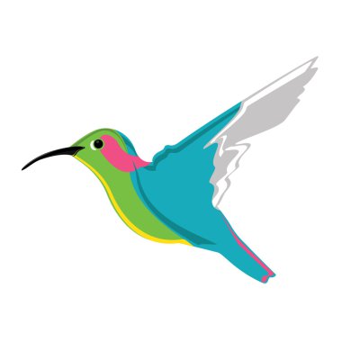 Küçük egzotik sinek kuşu