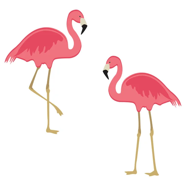Pink flamingo rastrowych — Zdjęcie stockowe