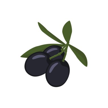 Yapraklı siyah zeytin