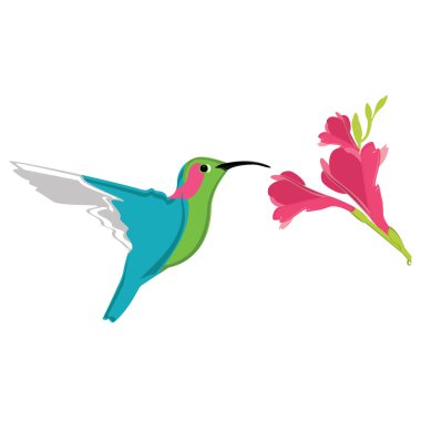 uğuldayan kuş ve çiçek