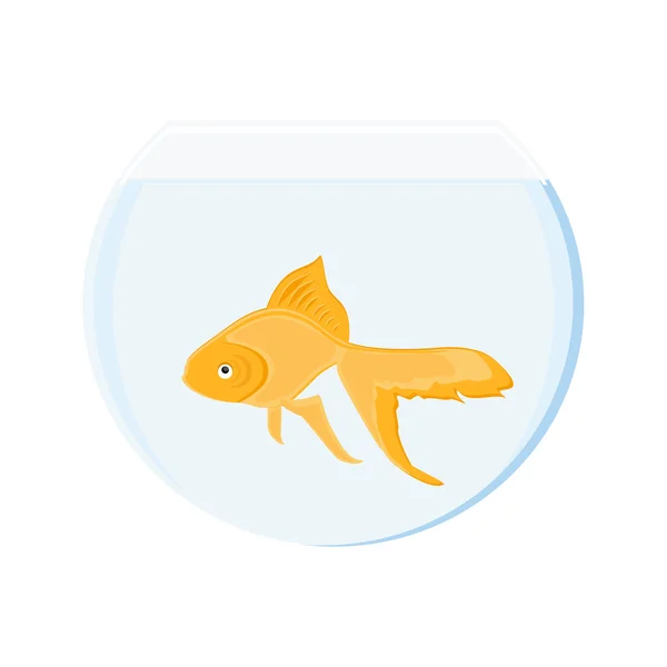 Goldfish in bowl — Stock Photo, Image