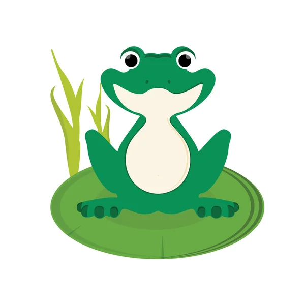 Green frog raster — Stock Photo, Image