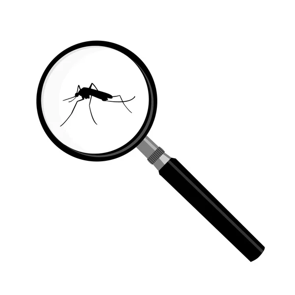 Mosquito en vergrootglas — Stockfoto