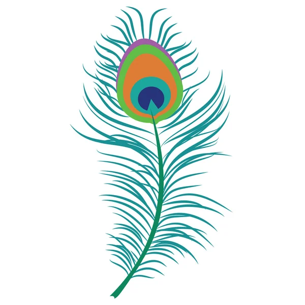 Peacock feather raster — Stockfoto