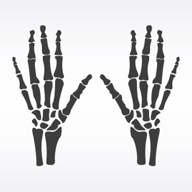 Human hands bones clipart