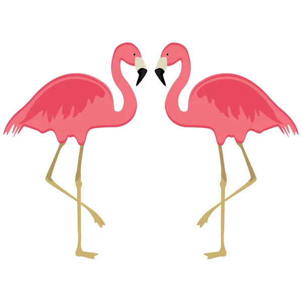 两个粉红色的火烈鸟 — 图库照片