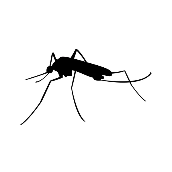 Silueta negra de mosquito —  Fotos de Stock