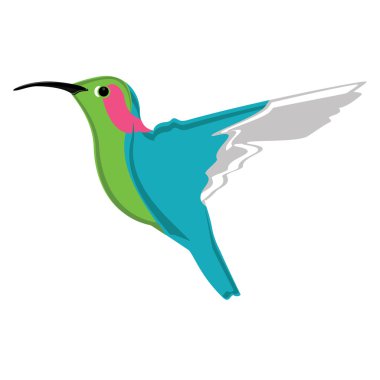 Küçük egzotik sinek kuşu