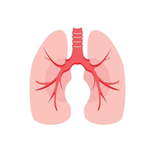 人間の肺のラスター — ストック写真