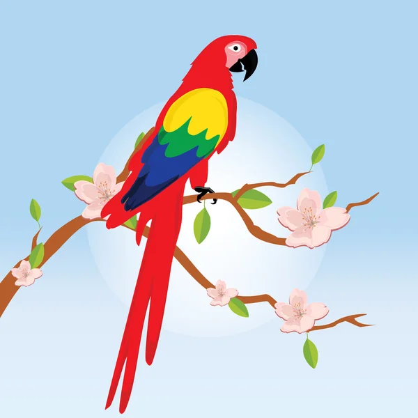 Papoušek papoušek na stromě — Stock fotografie