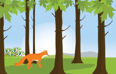 Kızıl Tilki orman peyzaj