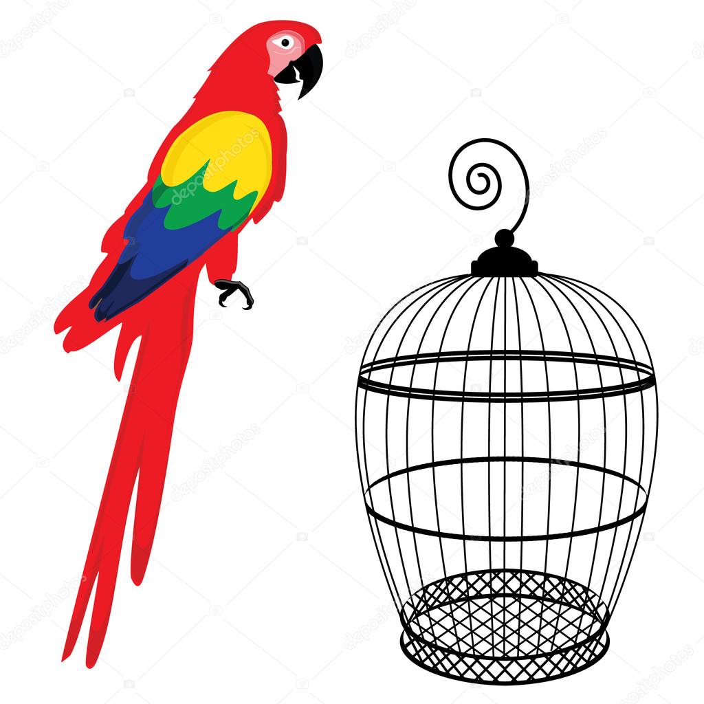 Perroquet Et Cage à Oiseaux Image Vectorielle