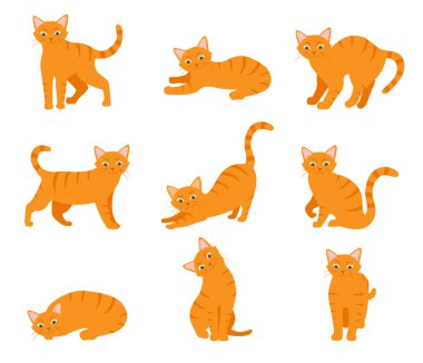 Farklı pozlar ve duygularla çizilmiş çizgi film kedisi seti. Kedi davranışları ve vücut dili. Basit bir şekilde Ginger Kitty, izole edilmiş vektör çizimi.