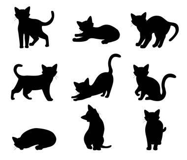 Kedi farklı pozlar veriyor. Beyaz arka planda siyah bir siluet var. Vektör