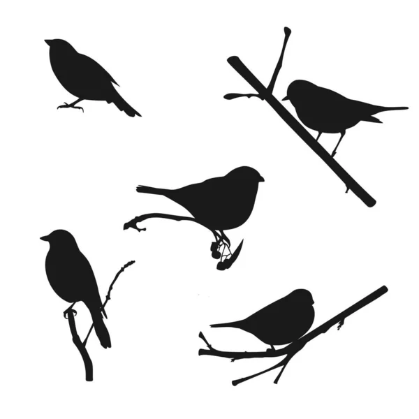 Зграя Літаючих Птахів Ізольована Білому Тлі Векторні — стоковий вектор