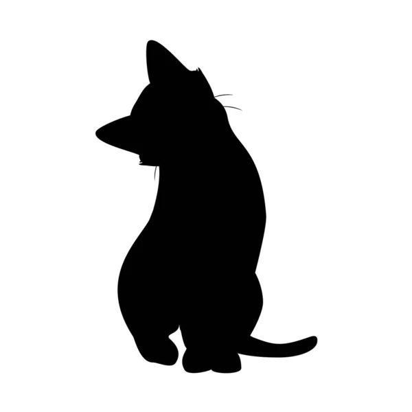 Cat Pose Black Silhouette Isolated White Background Vector — Stock Vector