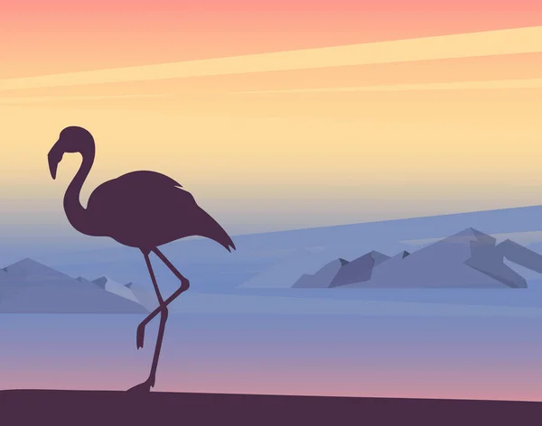 Sonnenuntergang Oder Sonnenaufgang Meer Mit Flamingo Tropischen Vogel Naturlandschaft Hintergrund — Stockfoto