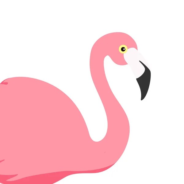 Vector Illustration Pink Flamingo Exotic Bird Cool Flamingo Decorative Flat — Stock Vector