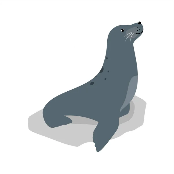 海豹可爱的海洋动物图标孤立在白色 载体说明 — 图库矢量图片