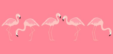 Flamingo tropikal kuşu. Egzotik kuş. raster