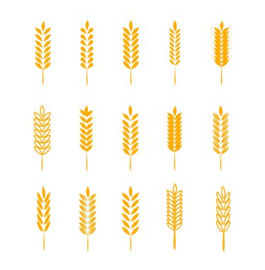 Buğday Kulağı Simgeleri ve Logo Seti. Kimlik Tarzı Doğal Ürün Şirketi ve Çiftlik Şirketi için. Organik buğday, ekmek tarımı ve doğal yemek.. 