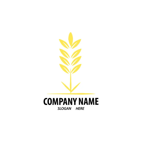 Projektowanie Logo Dla Rolnictwa Agronomii Hodowli Pszenicy Obszarów Wiejskich Zbiorów — Wektor stockowy