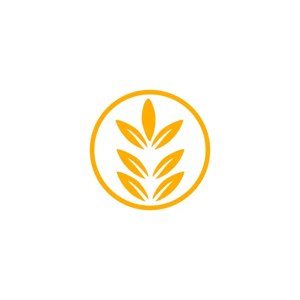 Logo Design Agriculture Agronomy Wheat Farm Rural Country Farming Field — Stock Vector