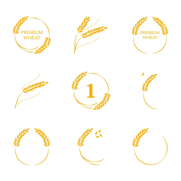Símbolos Para Diseño Del Logotipo Trigo Agricultura Maíz Cebada Tallos — Vector de stock