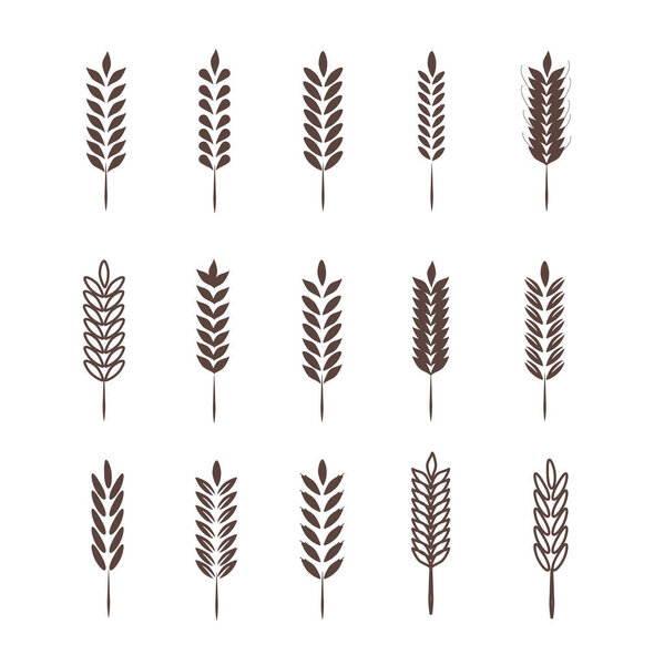 Wheat Ears Icons and Logo Set. For Identity Style of Natural Product Company and Farm Company. Organic wheat, bread agriculture and natural eat. 