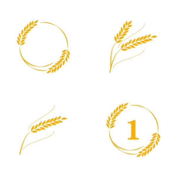 Symbols Logo Design Wheat Agriculture Corn Barley Stalks Organic Plants — Stock Vector