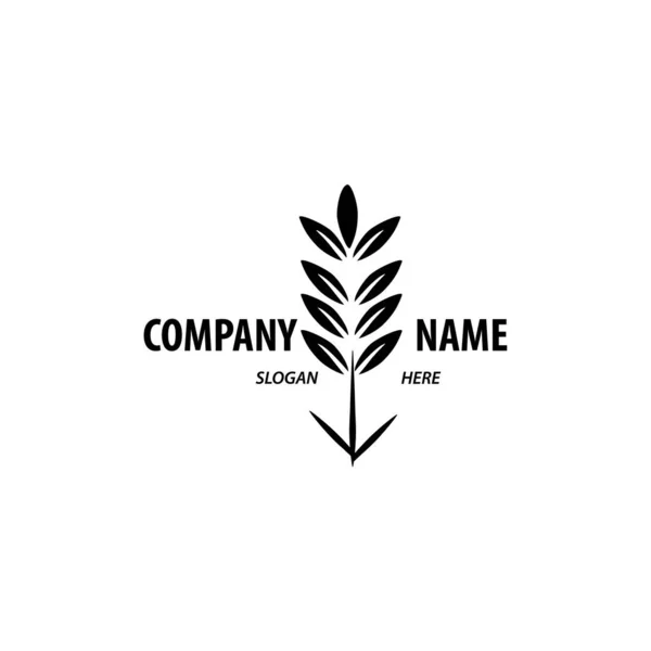 Logo Design Für Landwirtschaft Agronomie Weizenanbau Ländliche Landwirtschaft Natürliche Ernte — Stockvektor
