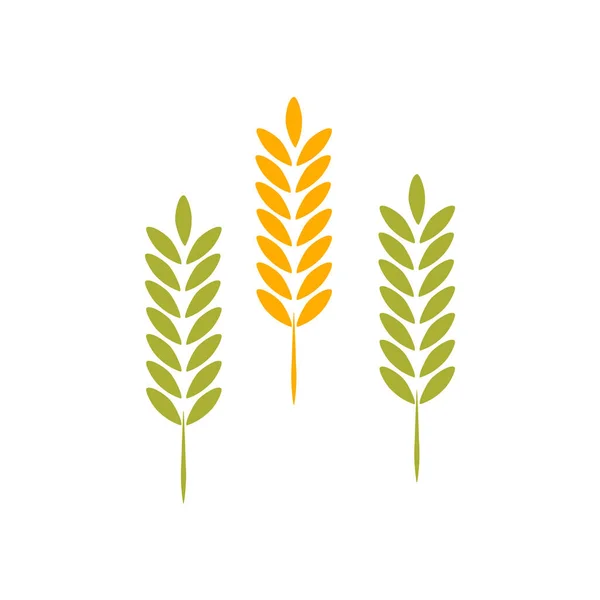 Agricultura Trigo Logo Icono Plantilla — Archivo Imágenes Vectoriales