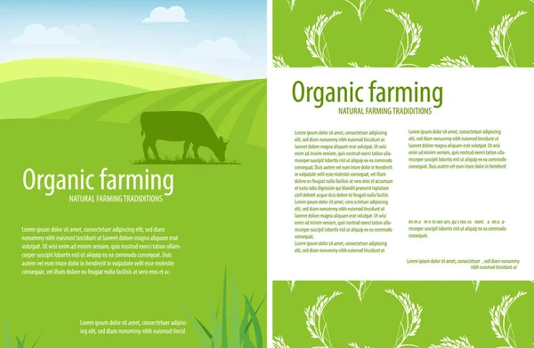 Organik Tarım Doğal Çiftçilik Gelenekleri Kırsal Alan Çiftlik Hayvanları Tasarım — Stok Vektör