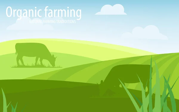 Organic Farming Natural Farming Traditions Rural Landscape Farm Animals Design — Stock Vector