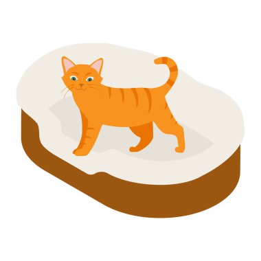 Beyaz arka planda izole edilmiş yumuşak yatak yastığındaki kızıl kedi. Isome Manzarası. Vektör