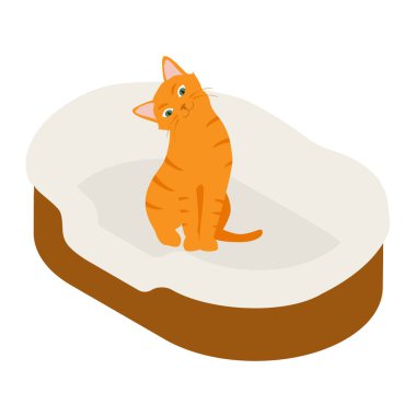 Beyaz arka planda izole edilmiş yumuşak yatak yastığındaki kızıl kedi. Isome Manzarası. Vektör