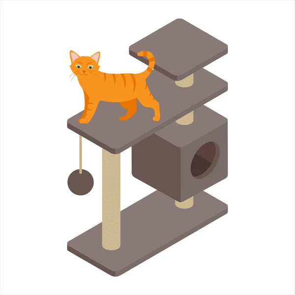 Cute Ginger Cat Playing Tree Home Isolated White Background Isometric — Stock Vector