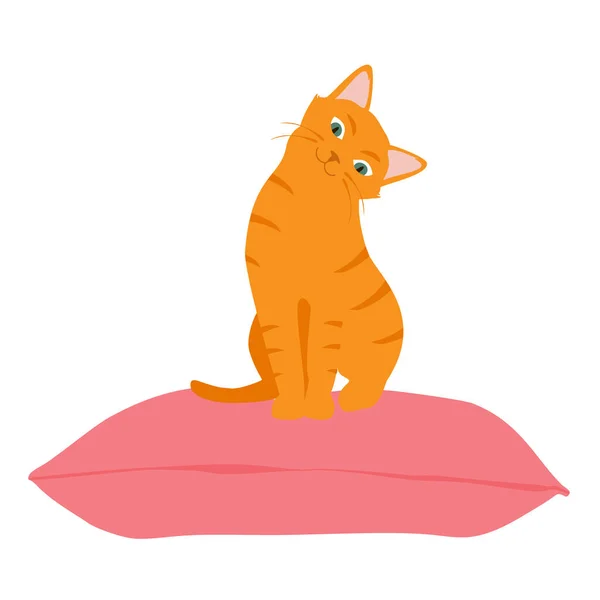 Cute Orange Cat Sitting Comfortably Cushion Pillow Cute Pet Vector — Stock Vector