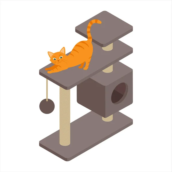 Cute Ginger Cat Playing Tree Home Isolated White Background Isometric — Stock Vector