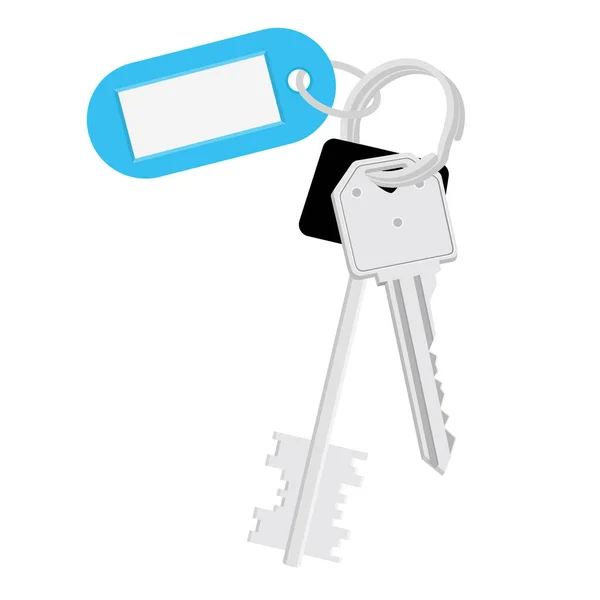 Vector Illustration Blank Blue Tag Keys Bunch Keys Keychain Isolated — Stock Vector