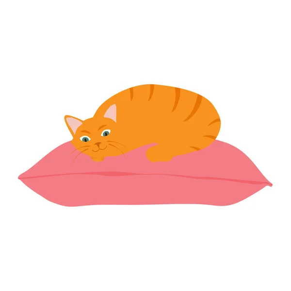 Cute Orange Cat Sitting Comfortably Cushion Pillow Cute Pet Raster — Stock Photo, Image