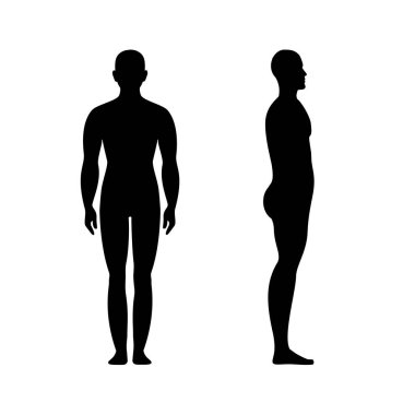 Erkek anatomisi insan karakteri önden ve yandan görünüşlü vücut silueti, beyaz, düz vektör çiziminde izole edilmiş. Siyah ve özet manken konsepti.