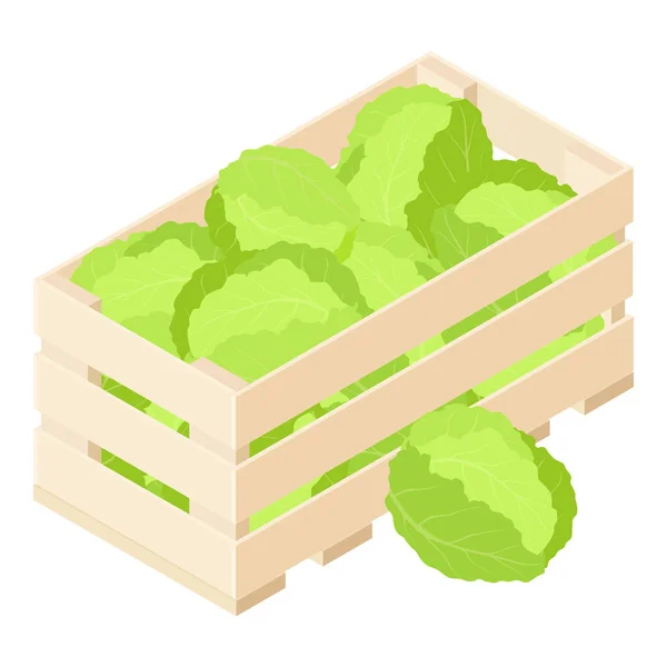 卷心菜在木箱市场上隔离的白色背景 等距视图 — 图库矢量图片