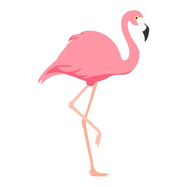 Beyaz arkaplanda izole edilmiş pembe flamingo raster çizimi.