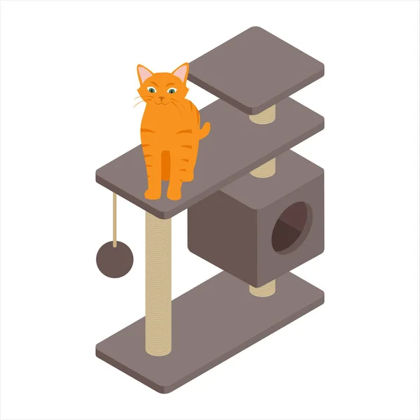 Cute Ginger Cat Playing Tree Home Isolated White Background Isometric — Stock Photo, Image