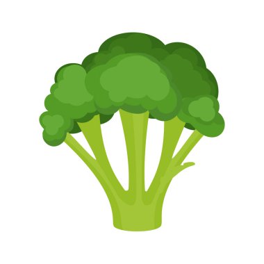 Taze brokoli ikonu. Web tasarımı için taze brokoli raster simgesi